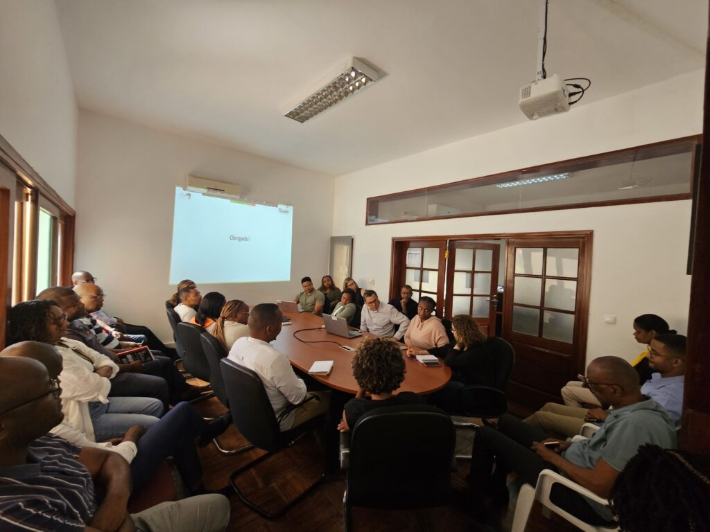 Transition from Friends in Global Health (FGH) to Centro Pela Saúde  Global (C-Saúde)